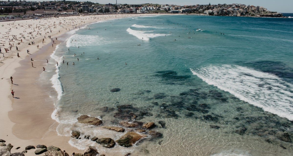 Top Sydney suburbs driving the market rebound